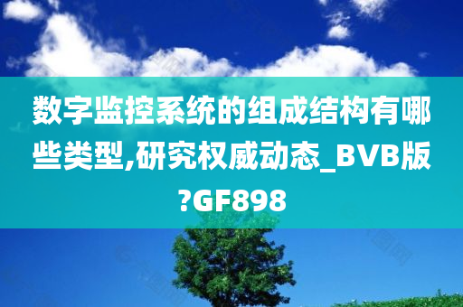 数字监控系统的组成结构有哪些类型,研究权威动态_BVB版?GF898