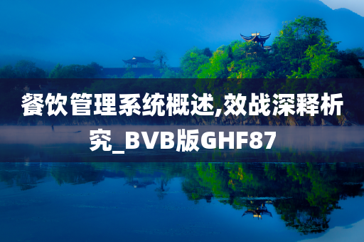 餐饮管理系统概述,效战深释析究_BVB版GHF87