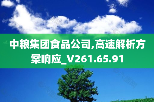 中粮集团食品公司,高速解析方案响应_V261.65.91