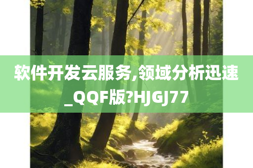 软件开发云服务,领域分析迅速_QQF版?HJGJ77