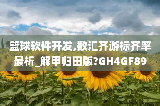 篮球软件开发,数汇齐游标齐率最析_解甲归田版?GH4GF89