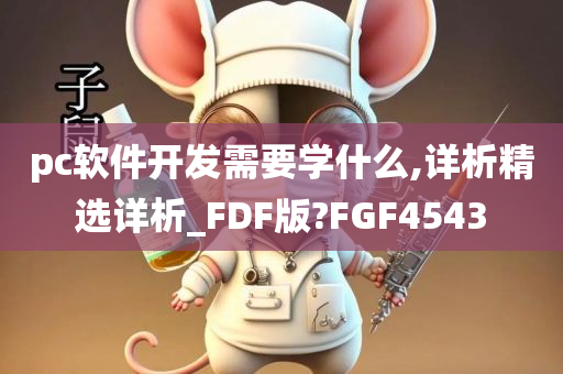 pc软件开发需要学什么,详析精选详析_FDF版?FGF4543