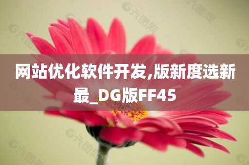 网站优化软件开发,版新度选新最_DG版FF45