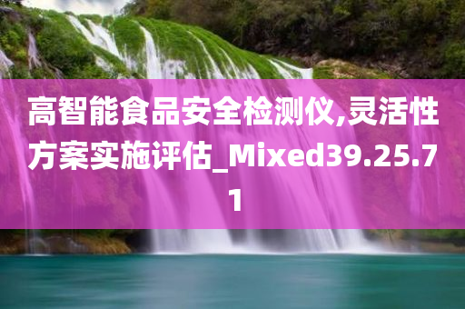 高智能食品安全检测仪,灵活性方案实施评估_Mixed39.25.71