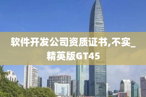 软件开发公司资质证书,不实_精英版GT45