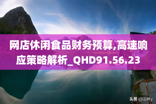 网店休闲食品财务预算,高速响应策略解析_QHD91.56.23