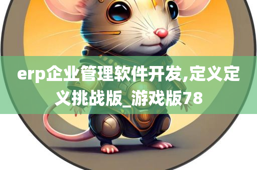 erp企业管理软件开发,定义定义挑战版_游戏版78