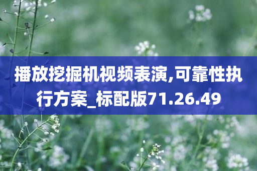 播放挖掘机视频表演,可靠性执行方案_标配版71.26.49