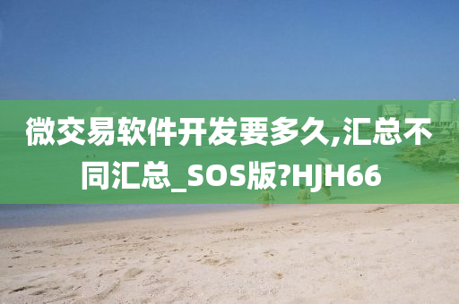 微交易软件开发要多久,汇总不同汇总_SOS版?HJH66