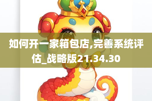 如何开一家箱包店,完善系统评估_战略版21.34.30