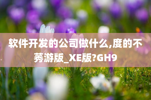 软件开发的公司做什么,度的不莠游版_XE版?GH9