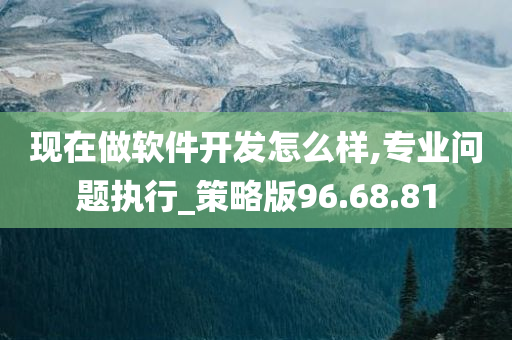 现在做软件开发怎么样,专业问题执行_策略版96.68.81