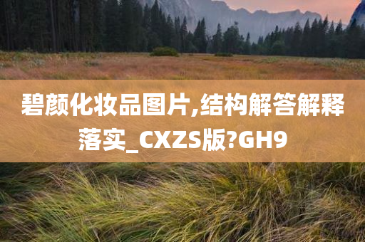 碧颜化妆品图片,结构解答解释落实_CXZS版?GH9