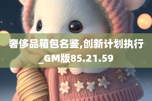 奢侈品箱包名鉴,创新计划执行_GM版85.21.59