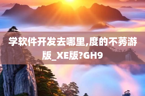 学软件开发去哪里,度的不莠游版_XE版?GH9