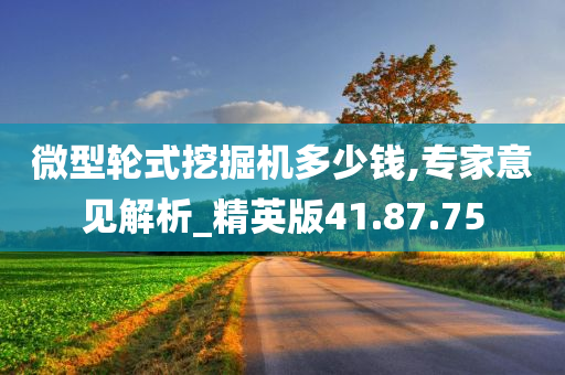 微型轮式挖掘机多少钱,专家意见解析_精英版41.87.75