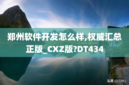 郑州软件开发怎么样,权威汇总正版_CXZ版?DT434