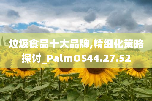 垃圾食品十大品牌,精细化策略探讨_PalmOS44.27.52