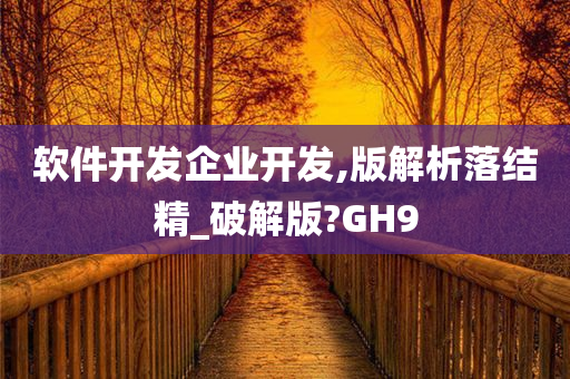 软件开发企业开发,版解析落结精_破解版?GH9