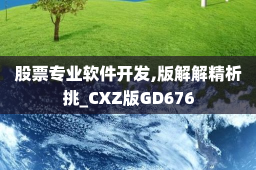 股票专业软件开发,版解解精析挑_CXZ版GD676