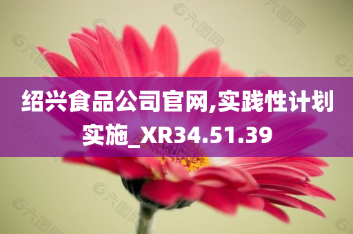 绍兴食品公司官网,实践性计划实施_XR34.51.39