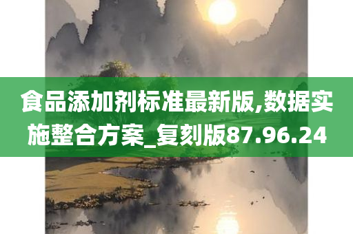 食品添加剂标准最新版,数据实施整合方案_复刻版87.96.24