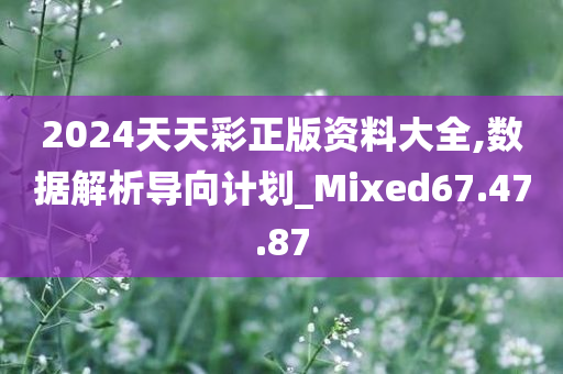 2024天天彩正版资料大全,数据解析导向计划_Mixed67.47.87