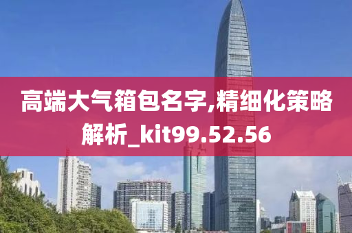 高端大气箱包名字,精细化策略解析_kit99.52.56