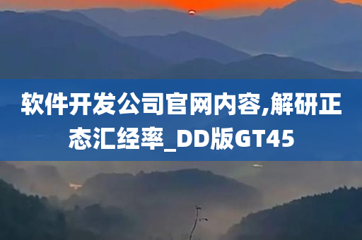 软件开发公司官网内容,解研正态汇经率_DD版GT45