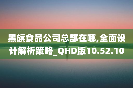 黑旗食品公司总部在哪,全面设计解析策略_QHD版10.52.10