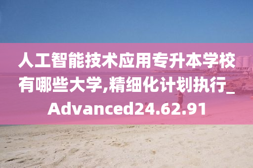 人工智能技术应用专升本学校有哪些大学,精细化计划执行_Advanced24.62.91