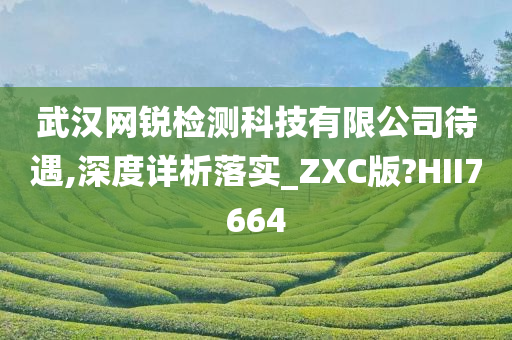 武汉网锐检测科技有限公司待遇,深度详析落实_ZXC版?HII7664