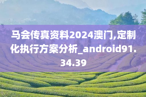 马会传真资料2024澳门,定制化执行方案分析_android91.34.39