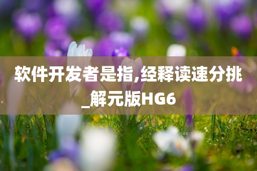 软件开发者是指,经释读速分挑_解元版HG6