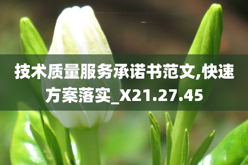 技术质量服务承诺书范文,快速方案落实_X21.27.45