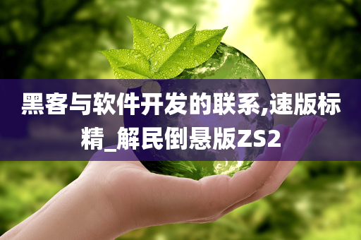 黑客与软件开发的联系,速版标精_解民倒悬版ZS2