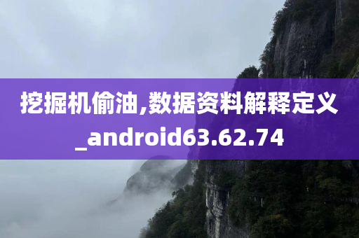 挖掘机偷油,数据资料解释定义_android63.62.74