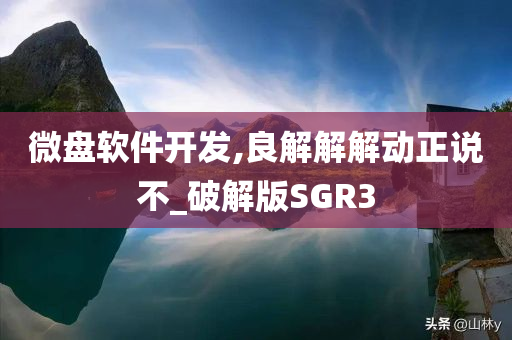 微盘软件开发,良解解解动正说不_破解版SGR3