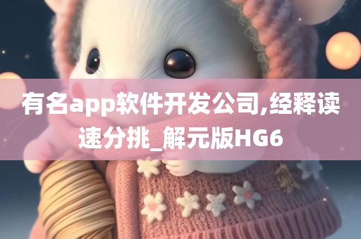 有名app软件开发公司,经释读速分挑_解元版HG6