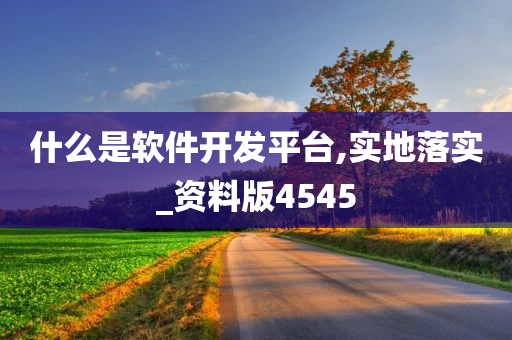 什么是软件开发平台,实地落实_资料版4545