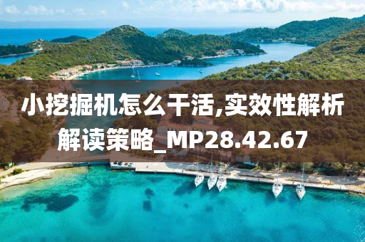 小挖掘机怎么干活,实效性解析解读策略_MP28.42.67