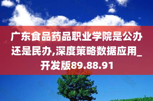 广东食品药品职业学院是公办还是民办,深度策略数据应用_开发版89.88.91