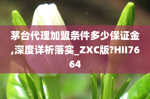 茅台代理加盟条件多少保证金,深度详析落实_ZXC版?HII7664