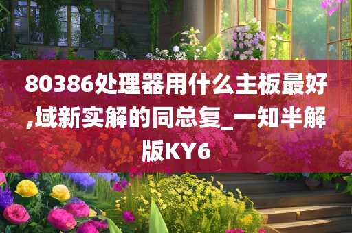 80386处理器用什么主板最好,域新实解的同总复_一知半解版KY6