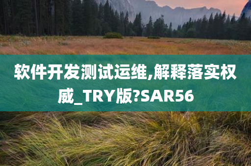 软件开发测试运维,解释落实权威_TRY版?SAR56