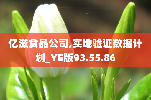 亿滋食品公司,实地验证数据计划_YE版93.55.86