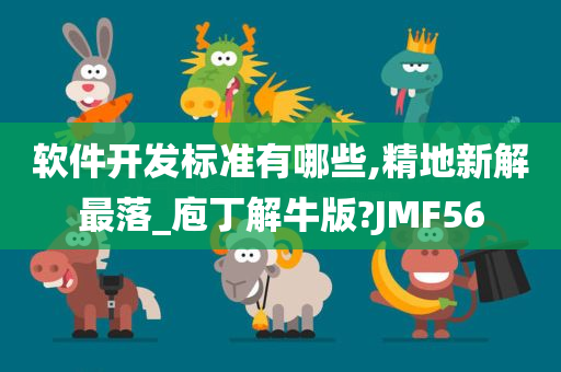 软件开发标准有哪些,精地新解最落_庖丁解牛版?JMF56