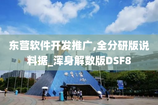 东营软件开发推广,全分研版说料据_浑身解数版DSF8