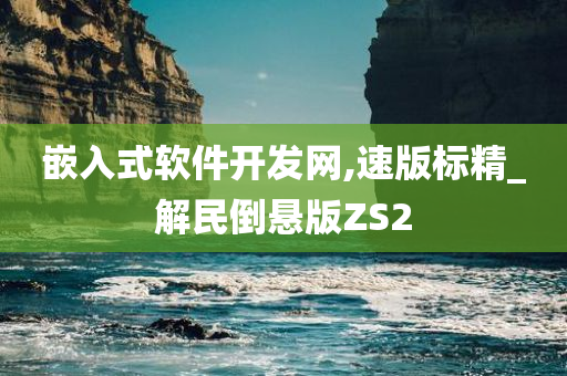 嵌入式软件开发网,速版标精_解民倒悬版ZS2