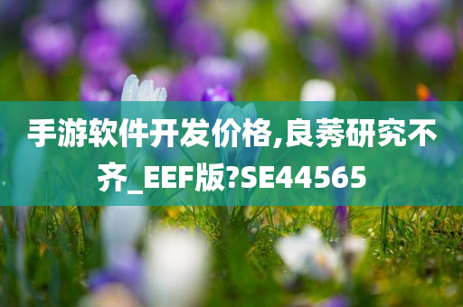 手游软件开发价格,良莠研究不齐_EEF版?SE44565